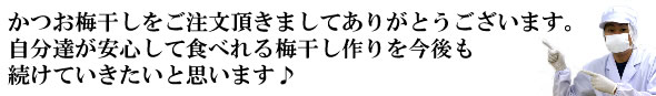 梅干し,梅,青梅,梅肉エキス,紀州南高梅干通販の専門店 かつお梅干し- 深見梅店 -